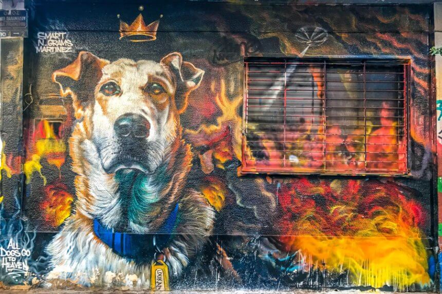 The best graffiti in the world Travelen